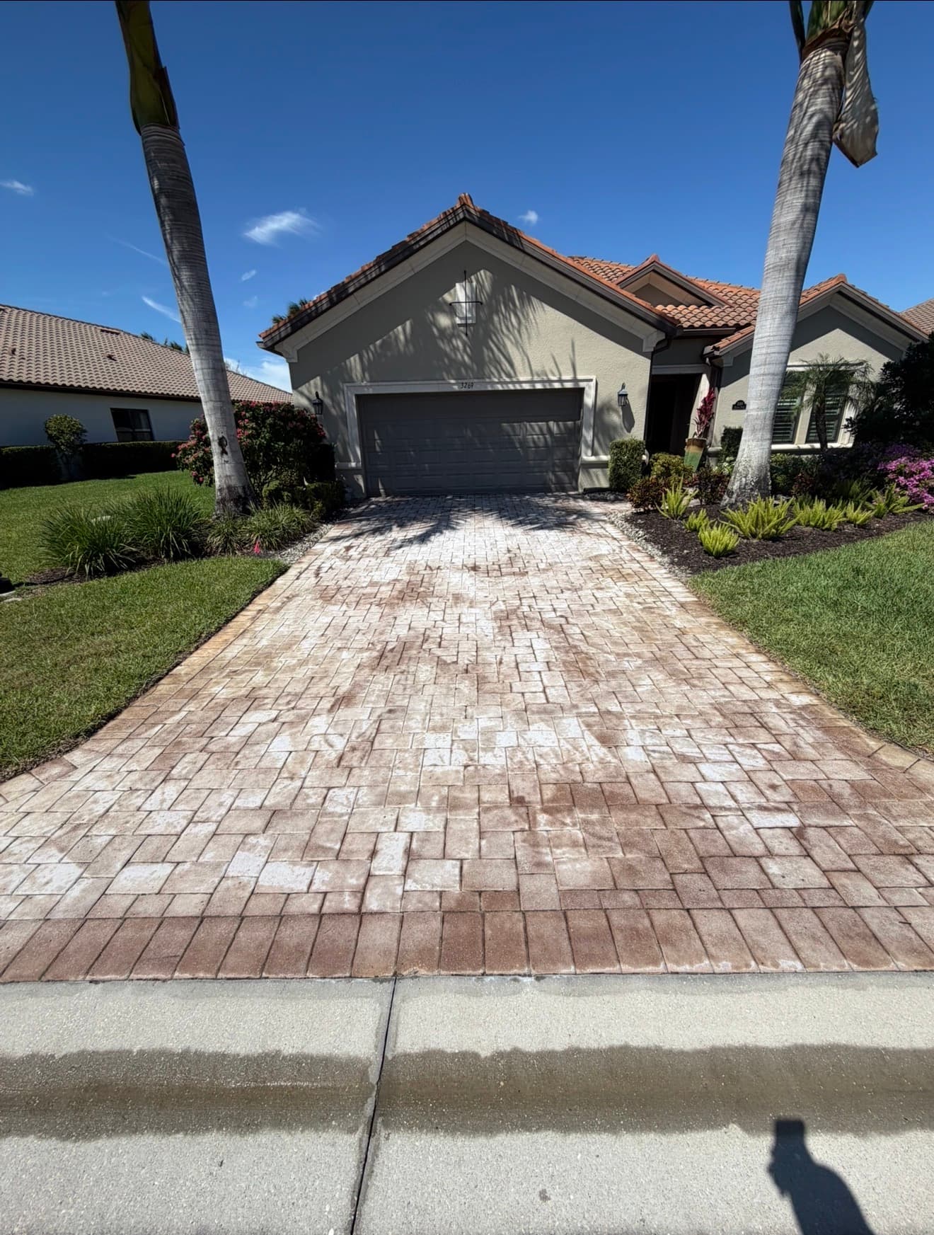 Before — Paver Driveway Strip & Seal